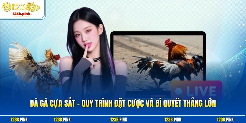 Đá Gà Cựa Sắt – Quy Trình Đặt Cược Và Bí Quyết Thắng Lớn