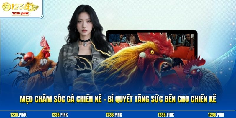 Mẹo Chăm Sóc Gà Chiến Kê - Bí Quyết Tăng Sức Bền Cho Chiến Kê