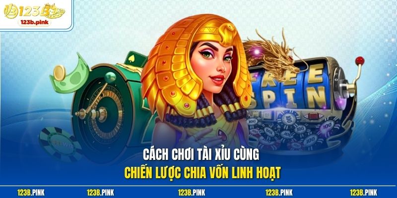 Cách chơi tài xỉu cùng chiến lược chia vốn linh hoạt