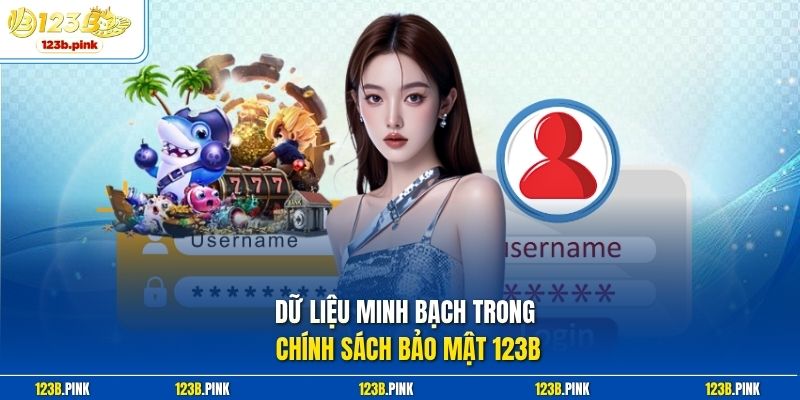Dữ liệu minh bạch trong chính sách bảo mật 123b