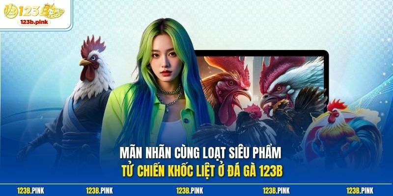 Mãn nhãn cùng loạt siêu phẩm tử chiến khốc liệt ở đá gà 123b 