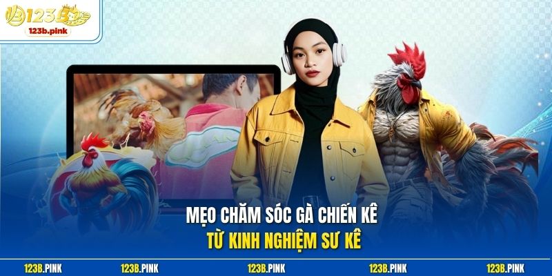 Mẹo chăm sóc gà chiến kê từ kinh nghiệm sư kê
